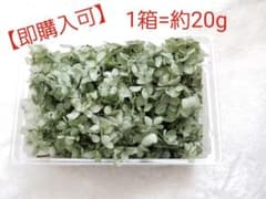 プリザーブドフラワー紫陽花ブルーグリーン1箱のサムネイル