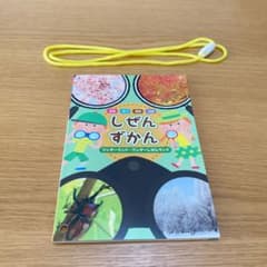 新品◎はる　なつ　あき　ふゆ しぜんずかん/ワンダーランド・ワンダーしぜんランドのサムネイル