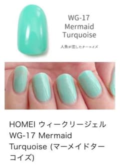 HOMEI ウィークリージェル　WG-17 送料込みのサムネイル