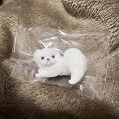ふり向けば君が・・・犬～歩み～【ペキニーズ】のサムネイル