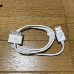 iPod 純正ドックコネクタ(30ピンDock Connector)のサムネイル
