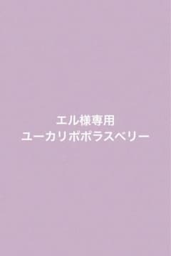 エル様専用ページのサムネイル
