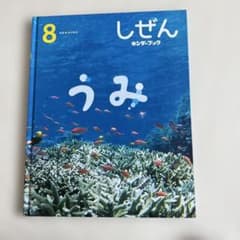 しぜん キンダーブック 8月号 うみ - メルカリ