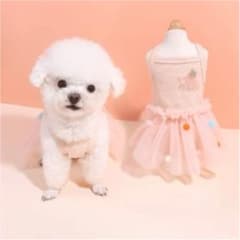 犬服　ワンピースのサムネイル