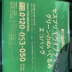 【新品】ゼスプリ キウイブラザーズ ぬいぐるみ エコバッグ InRed 7月号のサムネイル