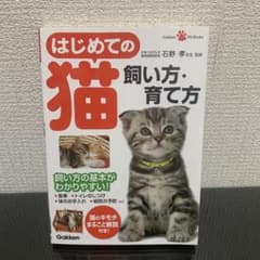 はじめての猫飼い方・育て方 : 飼い方の基本がわかりやすい!のサムネイル