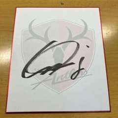 m40179036596_1.jpg?1702389710