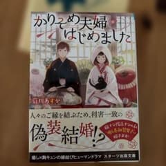かりそめ夫婦はじめましたのサムネイル