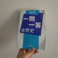 一問一答 世界史 山川出版社のサムネイル