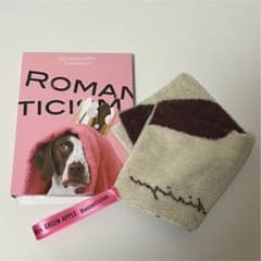 Mrs. GREEN APPLE CD "ロマンチシズム 初回限定盤"のサムネイル