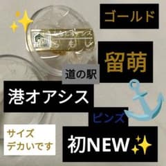 S*1様 北海道 道の駅限定みなとオアシス ピンズ るもい ゴールドVer