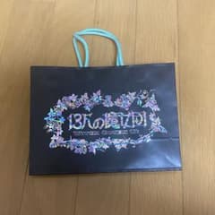 ジブリパーク 魔女の谷 紙袋 お土産袋 13人の魔女団 ショップ袋