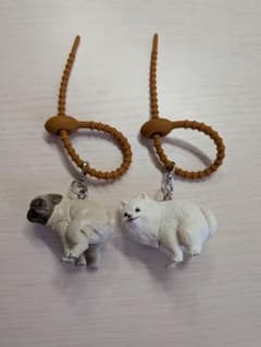 ふんばり〜ぬ2個セット