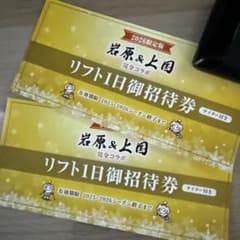 2025-2026上越国際スキー場&岩原スキー場 リフト券　2枚　ナイター付きのサムネイル