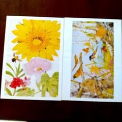 熊田千佳慕の植物と動物のイラスト 額絵 22枚セットのサムネイル