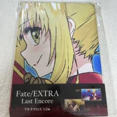 가격 인하 Fate/EXTRA Last Encore 멀티 크로스