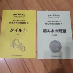PYGLI 能力育成問題集 9・11 2冊セットのサムネイル