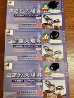スパリゾートハワイアンズ施設入場券　3枚のサムネイル