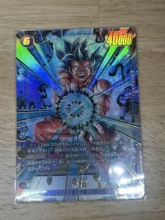 fb09-037 孫悟空 パラレル - メルカリ