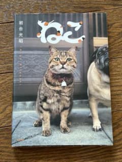 岩合光昭 写真集 ねこのサムネイル