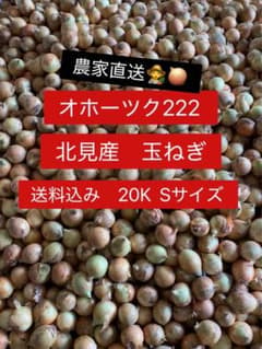 北見産　オホーツク222 玉ねぎ　段ボール込み20K Sサイズ