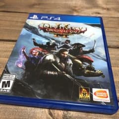 divinity original sin DEFINITIVE EDITIONのサムネイル