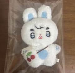 エスクプス ぬいぐるみ 10cm SEVENTEEN マスター - メルカリ
