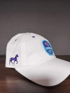 ブリーダーズカップ 2025 フォーエバーヤング キャップ 競馬 アメリカ