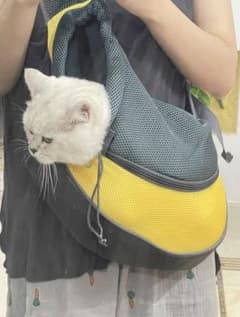 値下げ中ペットバッグ 猫用キャリーバッグ 肩掛け 散歩 ショルダーバッグ かばんのサムネイル