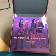 BLACKPINK IN YOUR AREAのサムネイル