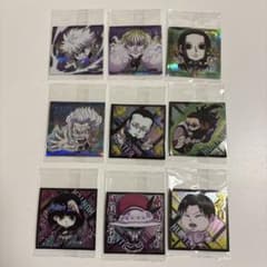 HUNTER×HUNTER 졸딕 집 9장 세트
