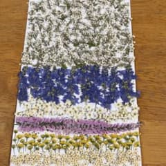 motch様専用＊…可愛い小花の押し花セット！のサムネイル