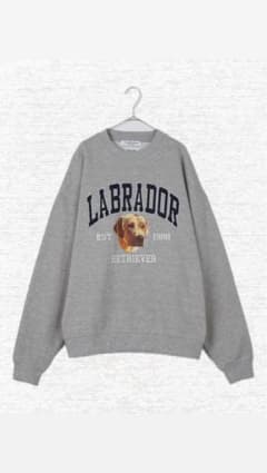 Labrador Retriever/ ラブラドールレトリーバー　 スウエットのサムネイル