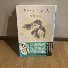 うつくしい人 西加奈子 幻冬舎文庫のサムネイル