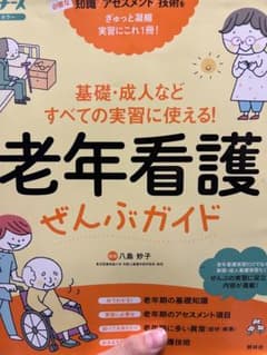 ☆速達☆ 老年看護ぜんぶガイド : 基礎・成人などすべての実習に使える!のサムネイル