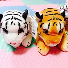 ☆ジャニー♡プロフ必読！様☆専用‼︎のサムネイル