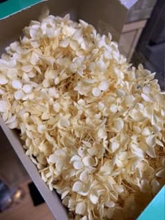 ちゃちゃ様 訳ありあじさい各1/4づつのサムネイル
