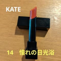 KATE ケイト リップモンスター 14 憧れの日光浴のサムネイル