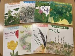 かがくのとも　植物の本８冊 ② つくし　チューリップ　くず　からすうり他 かがくのとも 植物の本8冊 ② つくし チューリップ くず からすうり他