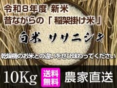 令和8年産 新米｜岩手県 ササニシキ 白米 10kg｜稲架掛け・天日干しの