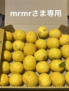mrmrさま専用のサムネイル