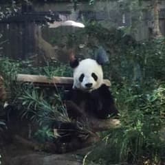 ベルベガ様専用！のサムネイル