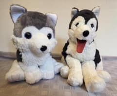 もふっとオオカミ&シベリアンハスキー ぬいぐるみ 2体セットのサムネイル
