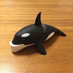 【新品】シャクレルプラネット シャチのサムネイル