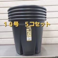 専用品！ 生育環境を整えるスリット構造！根っこつよし　１２号　１０コ セットがお買い得！ 生育環境を整えるスリット構造！根っこつよし 10
