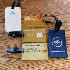 エールフランスKLM ／DELTA／スカイチームのサムネイル