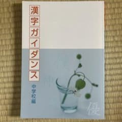 漢字ガイダンス 中学校編のサムネイル