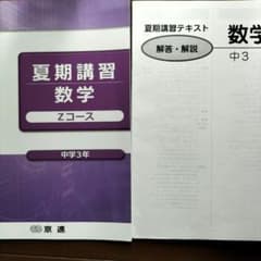 高校入試】京進 中3 夏期講習テキスト 数学 - メルカリ