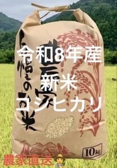 令和8年産 新米 コシヒカリ 玄米 10kg 農家直送のサムネイル