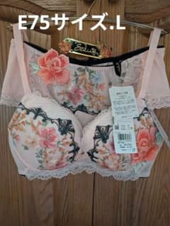 Salute ブラジャー&ソングE75 / L 新品☆Salute 【E75】ブラショーツSET☆95Gグループ☆バイオレット